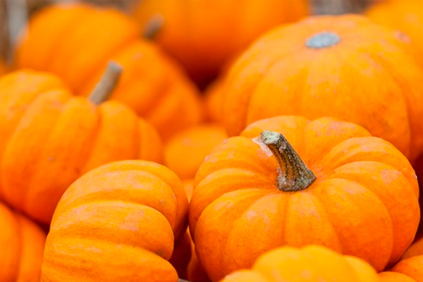 5-alimentos-imprescindibles-para-un-ciclista-calabazas