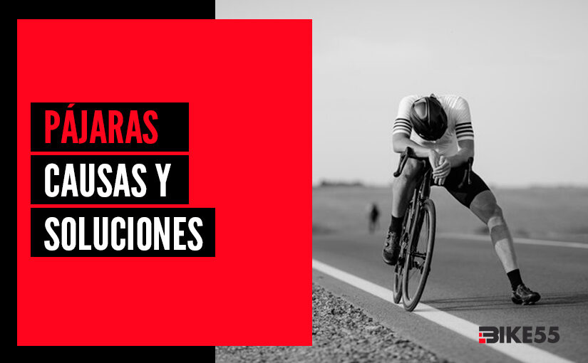pajaras-ciclismo