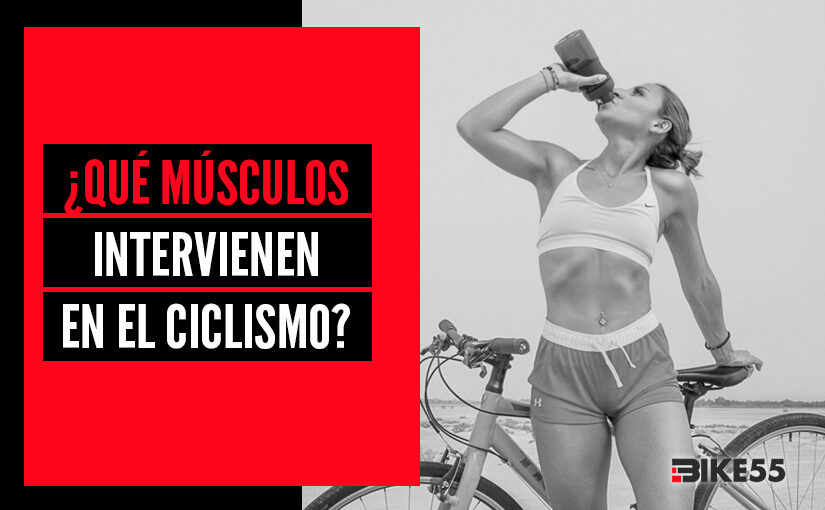 ¿Qué músculos se utilizan durante el ciclismo? 